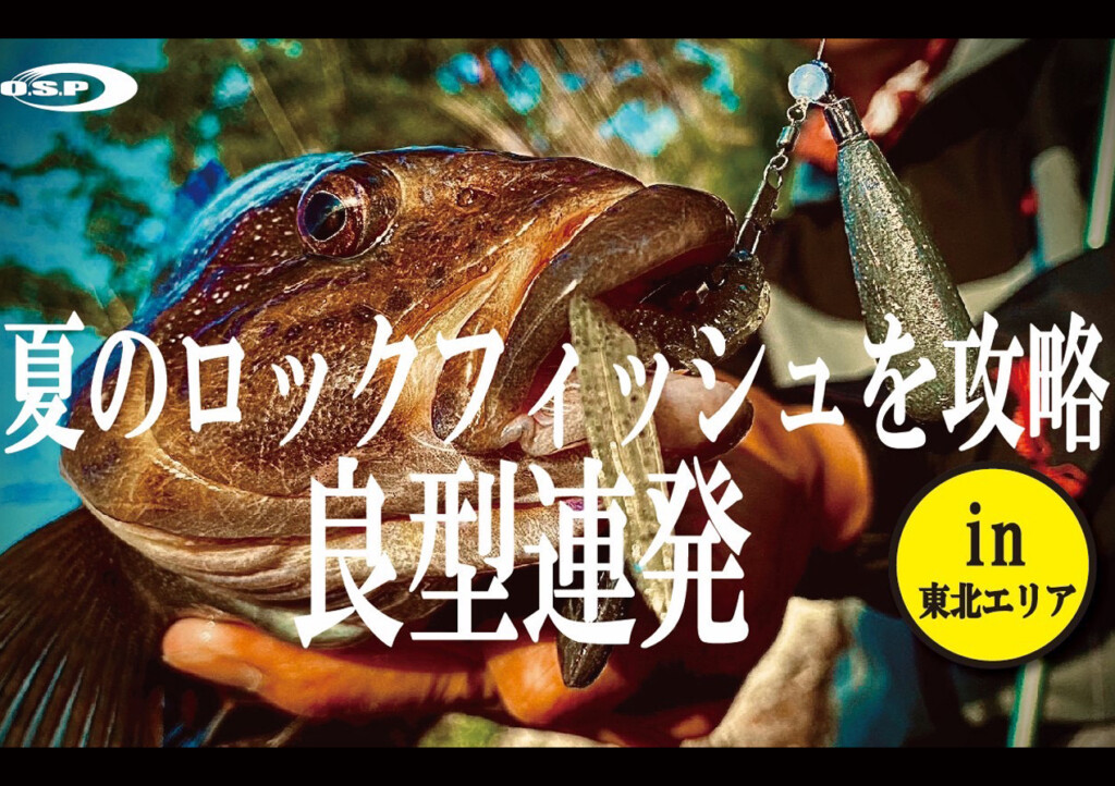 爆釣】O.S.Pスタッフ一同が東北エリアへロックフィッシュゲーム遠征