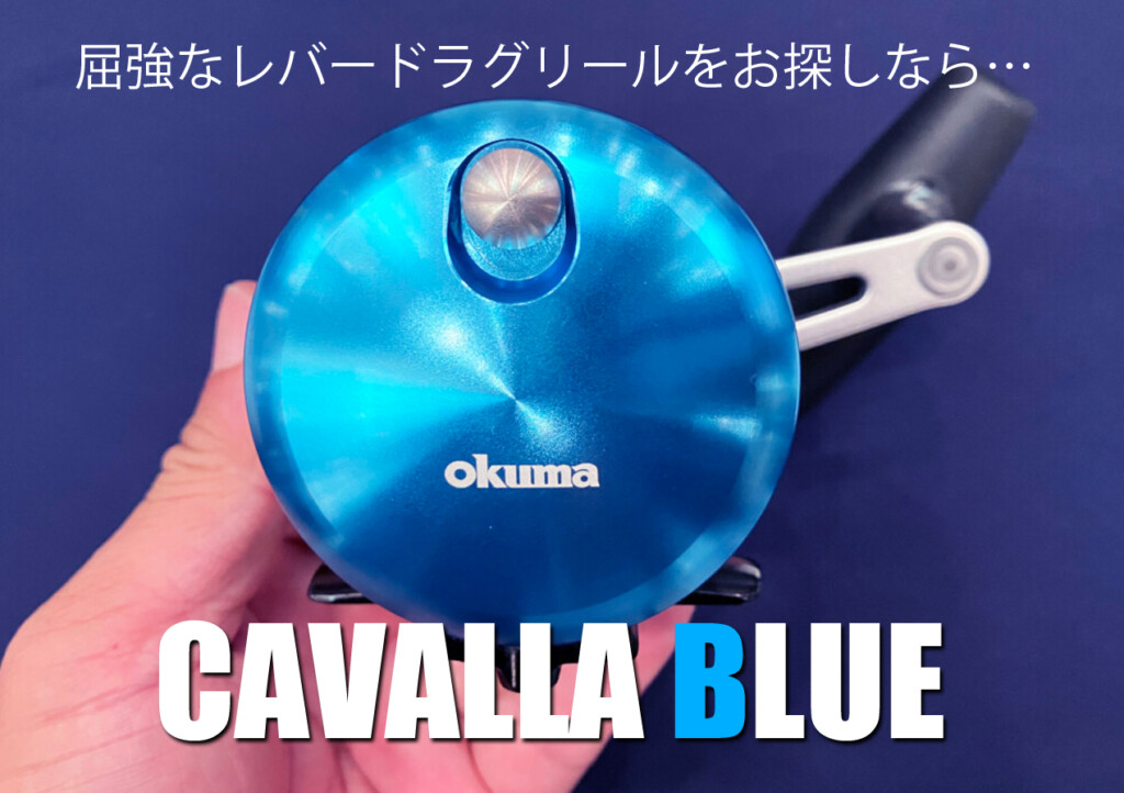 タンクマルシステム 電動リール シルバー/ブルー ステンレスホースリール NSRシリーズ｜ヤマダコーポレーション