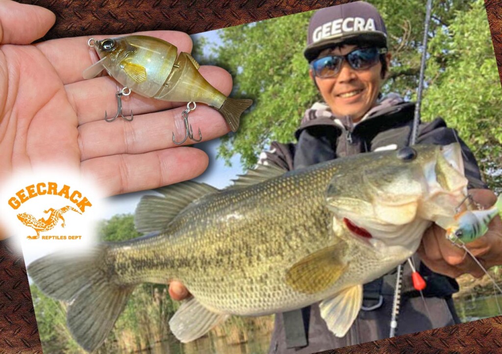 stunninglure スタニングルアー ツィーディーキュロット