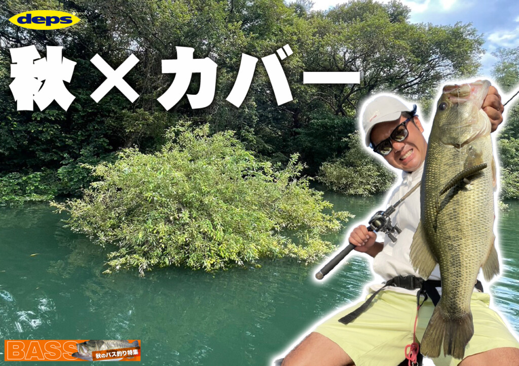 魚が散る秋に、なぜ「カバー」で釣れるのか | 釣りの総合ニュース 