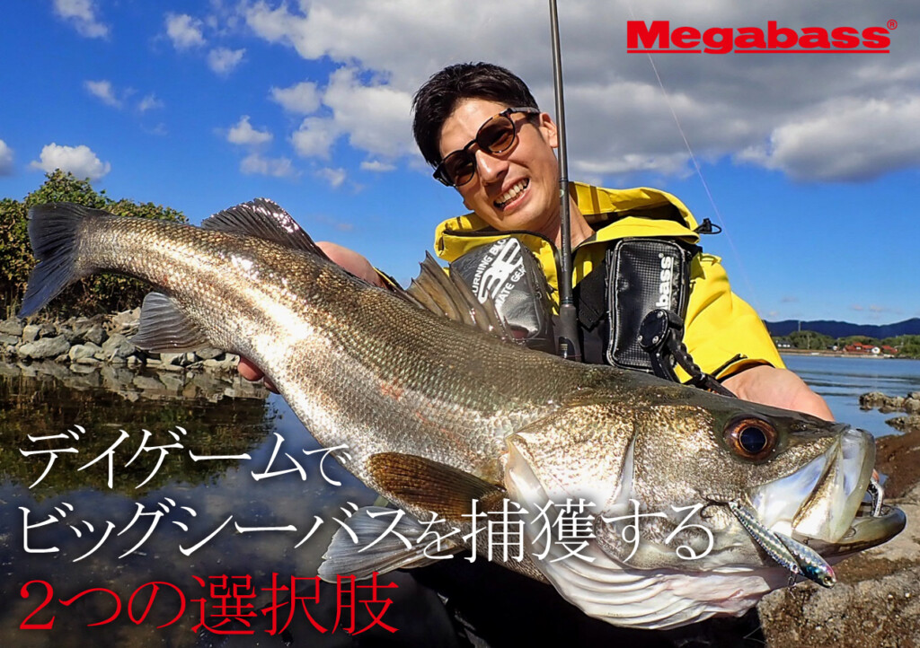 デイゲームでビッグシーバスを獲るための2つの選択肢 | 釣りの
