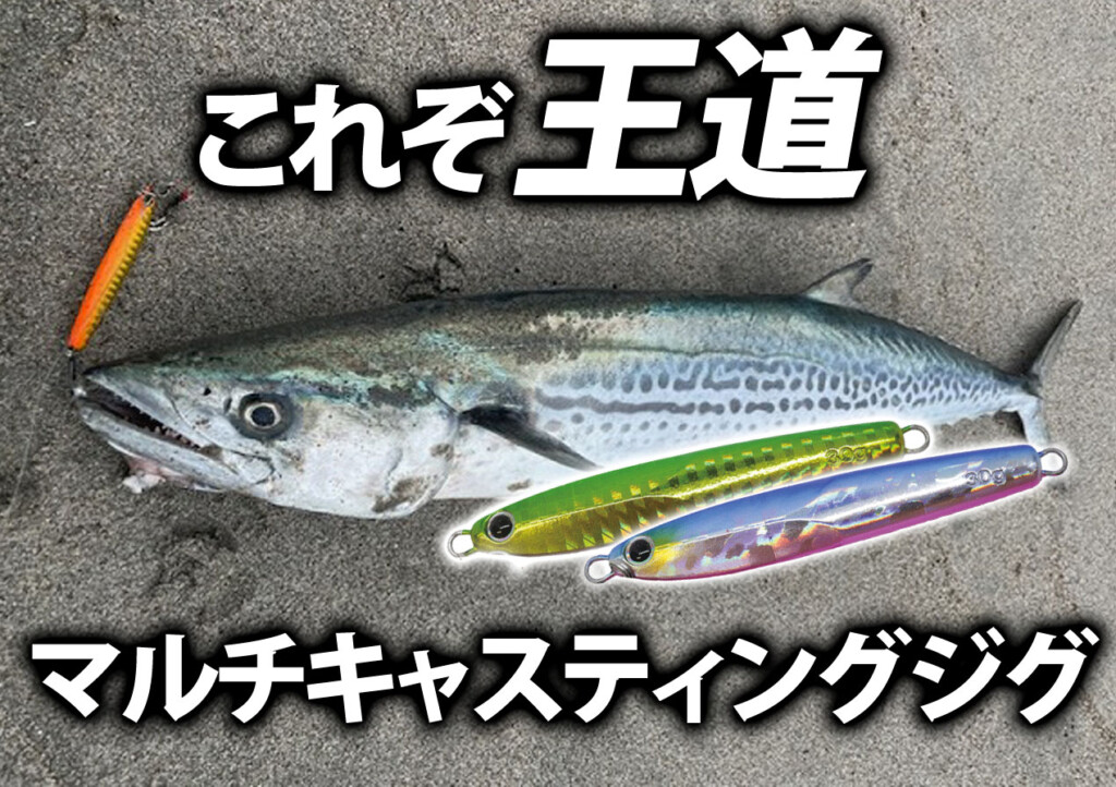 これぞ王道のメタルジグ！魚種・フィールド問わず活躍！エクリプスの