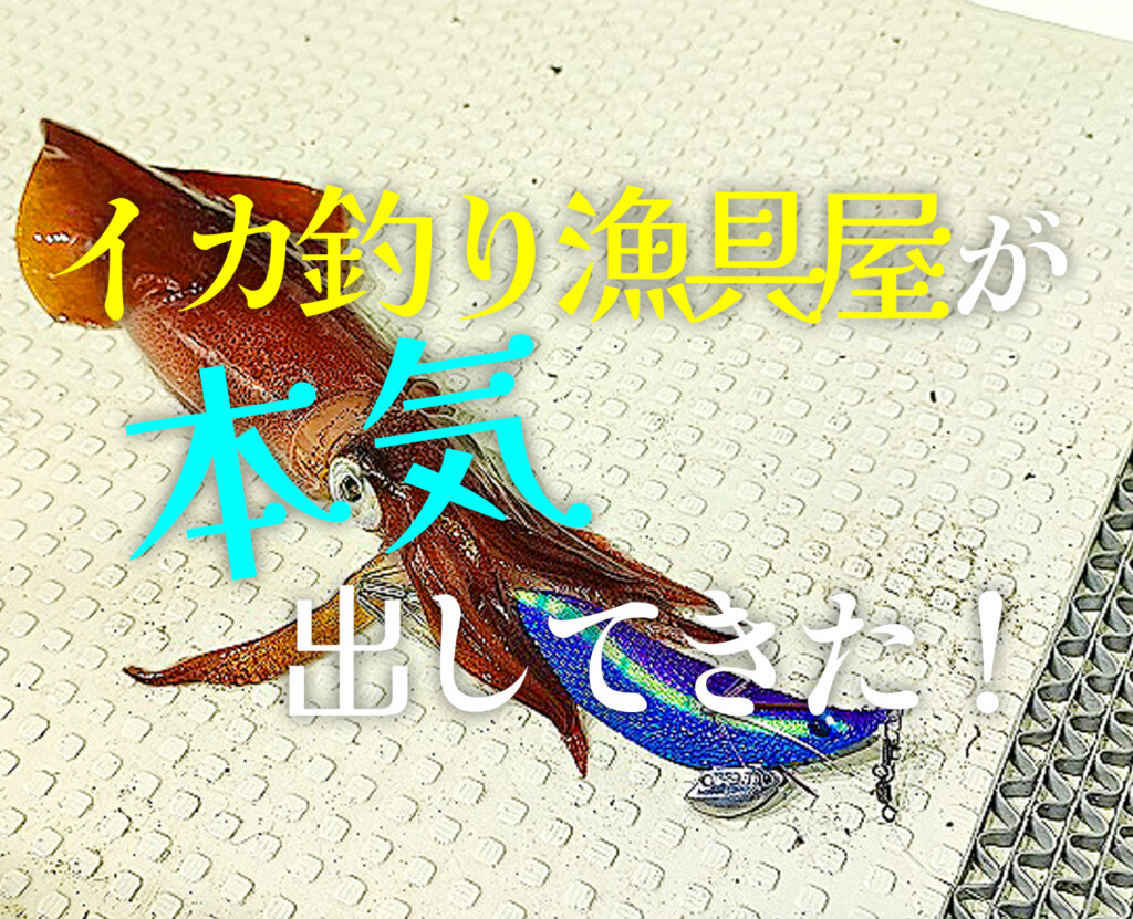 イカ釣り漁具屋が本気出してきた！】一つのエギで全イカ釣りに