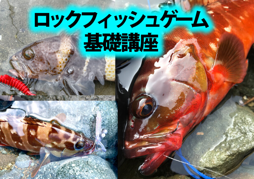 キジハタなどロックフィッシュゲーム基礎講座 | 釣りの総合ニュース