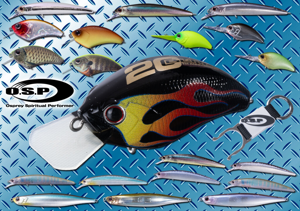 早春を制する新色続々登場】ブリッツ20周年記念カラーにも必見！2024年