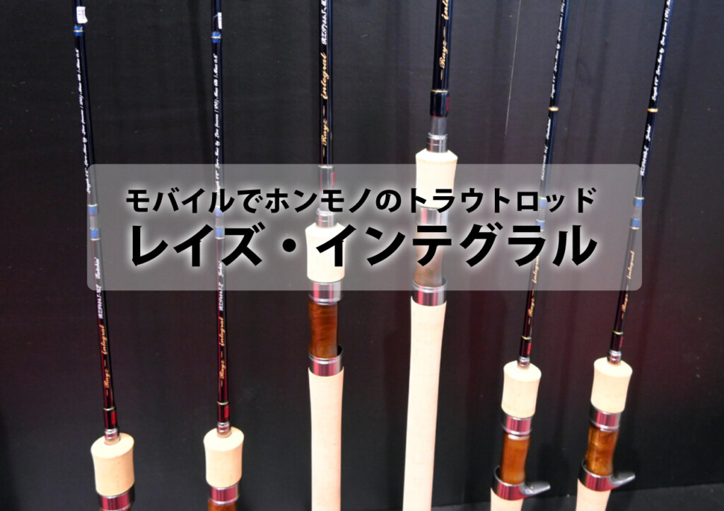 天龍 レイズ インテグラル RZI845S-MH トラウトロッド RZI845S-MH NATURE GAME Rayz integral(レイズ インテグラル