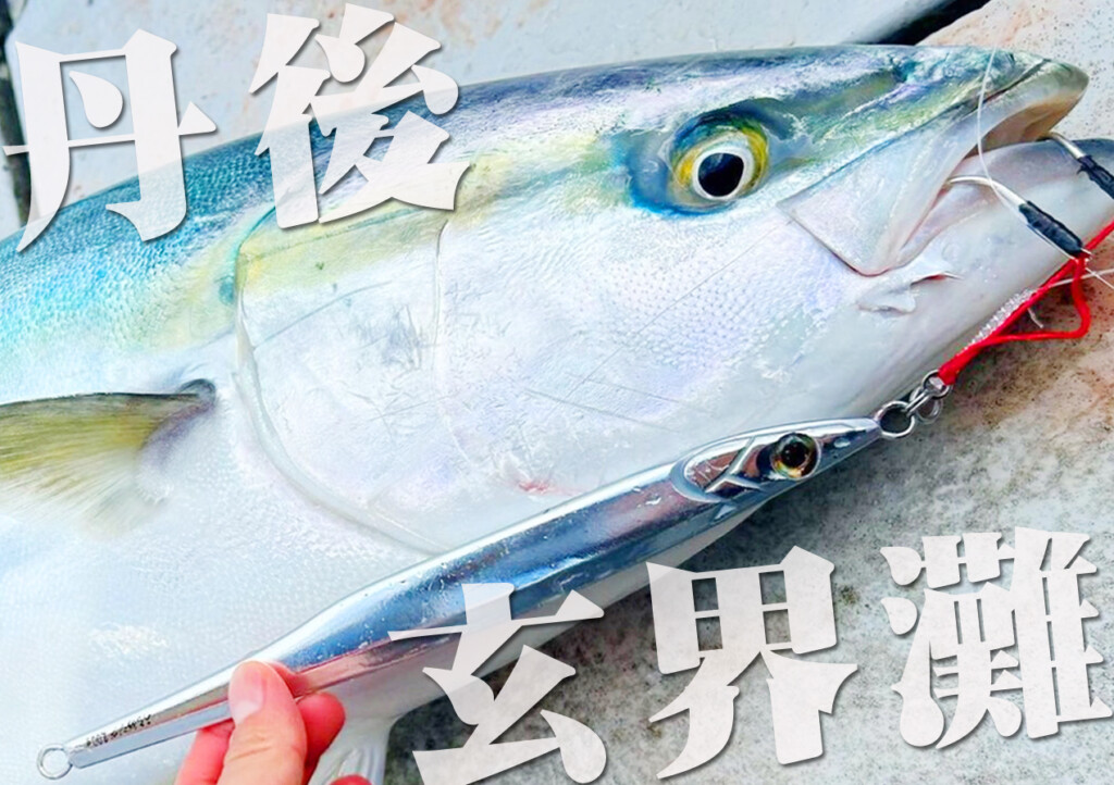 玄界灘/丹後】見逃し厳禁！ジギングの“メッカ”で無双状態の「うるめ