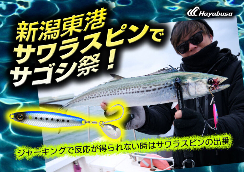 ジャックアイ】新潟東港・サワラスピンでサゴシ祭！ ジャーキングで