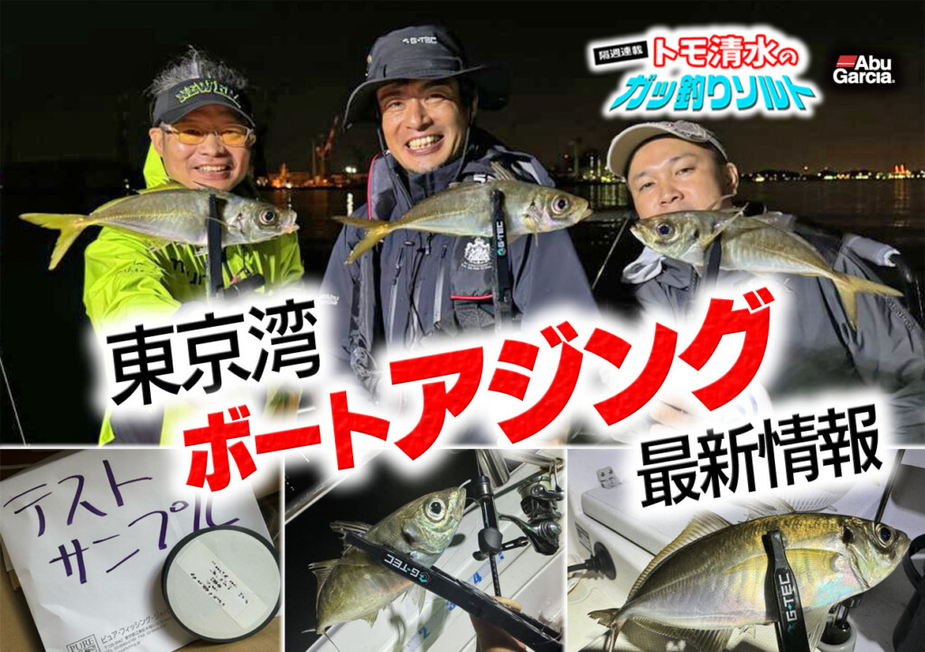 東京湾ボートアジング最新情報【トモ清水のガッ釣りソルト】 | 釣りの