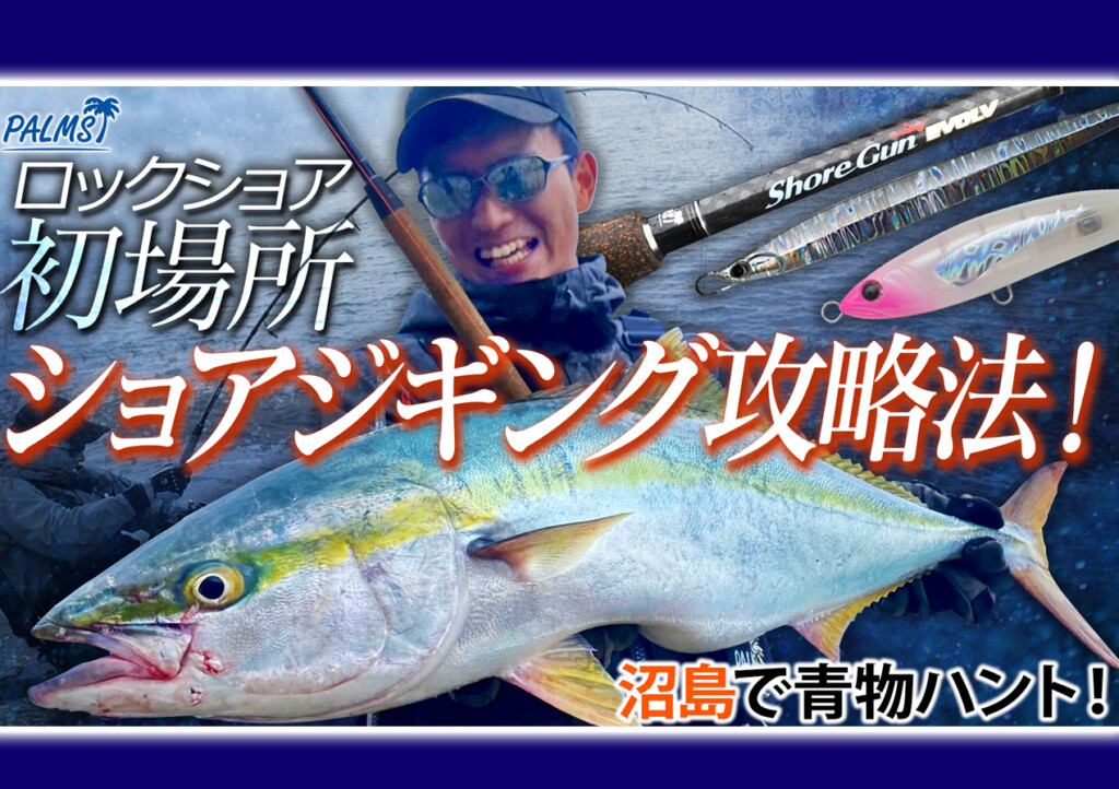 兵庫県沼島で青物ハント！ロックショア初場所でのショアジギング攻略