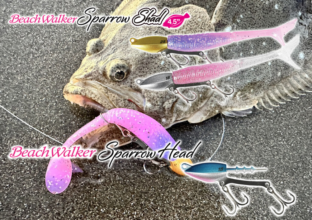 DUO BeachWalker スパローヘッド 18g・21g・25g セット トップ ビーチ