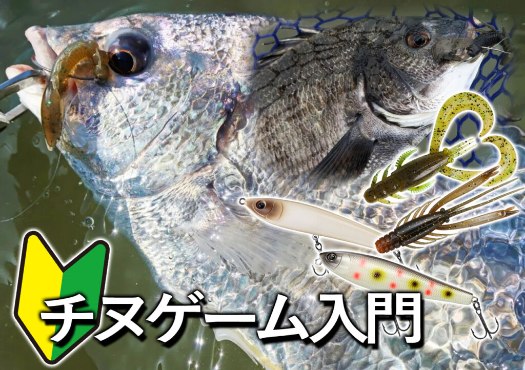 キューピー様【右巻き】チヌリール　3個 Amazon.co.jp: カワイイ! かぎ針編み 刺しゅう糸で編む ちいさな