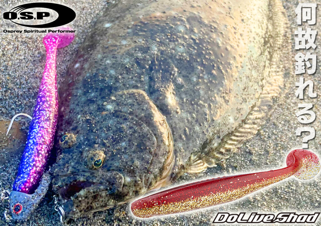 特長/使い方/使いドコロ/カラーなど】O.S.P“鈴木孝啓”に訊いた、サーフ