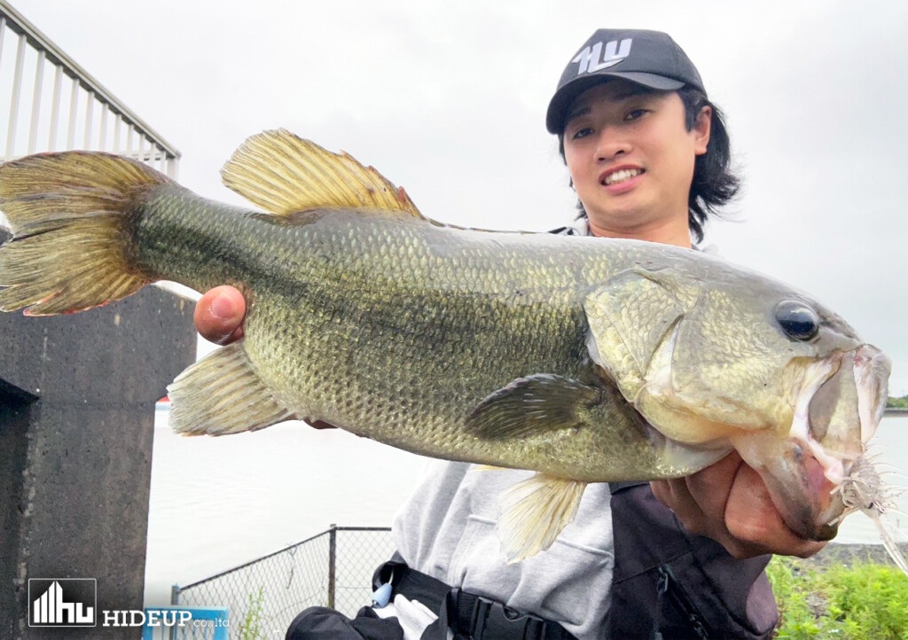 コイケシュリンプ】霞水系エビ食いバスに効いている「2つ」のリグ