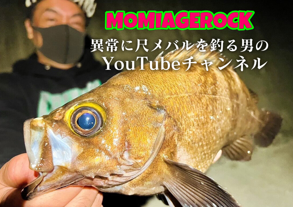 およそ1カ月で10尾以上の尺メバル」を釣っている男のYouTubeチャンネル