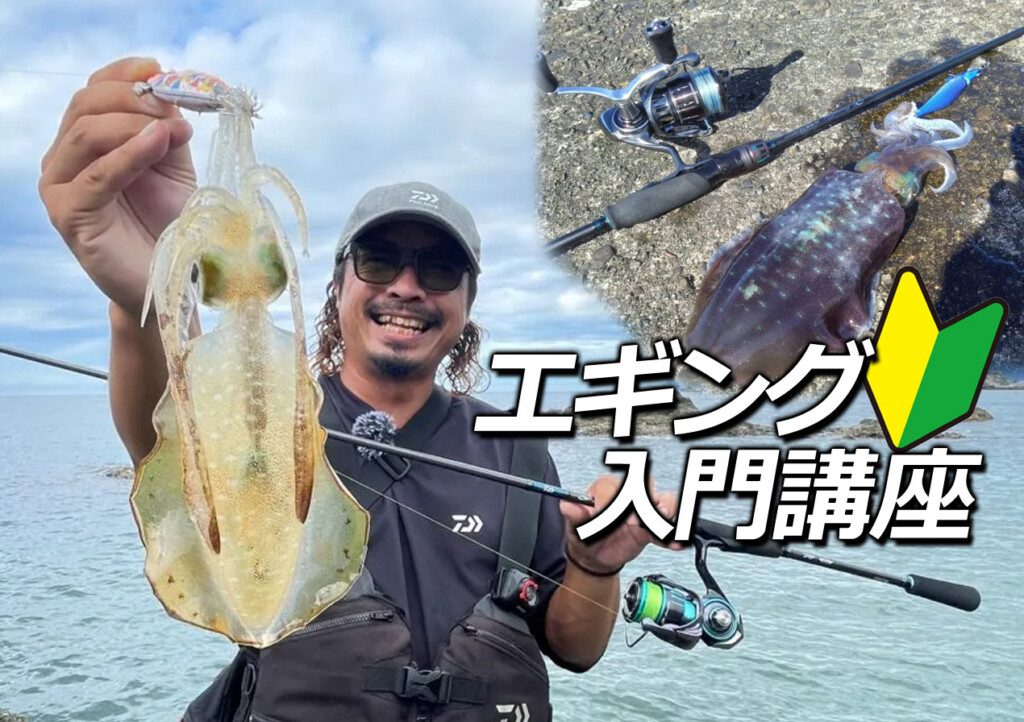 2024年版 エギング入門】イカの王様アオリイカを狙え！エギングの基礎