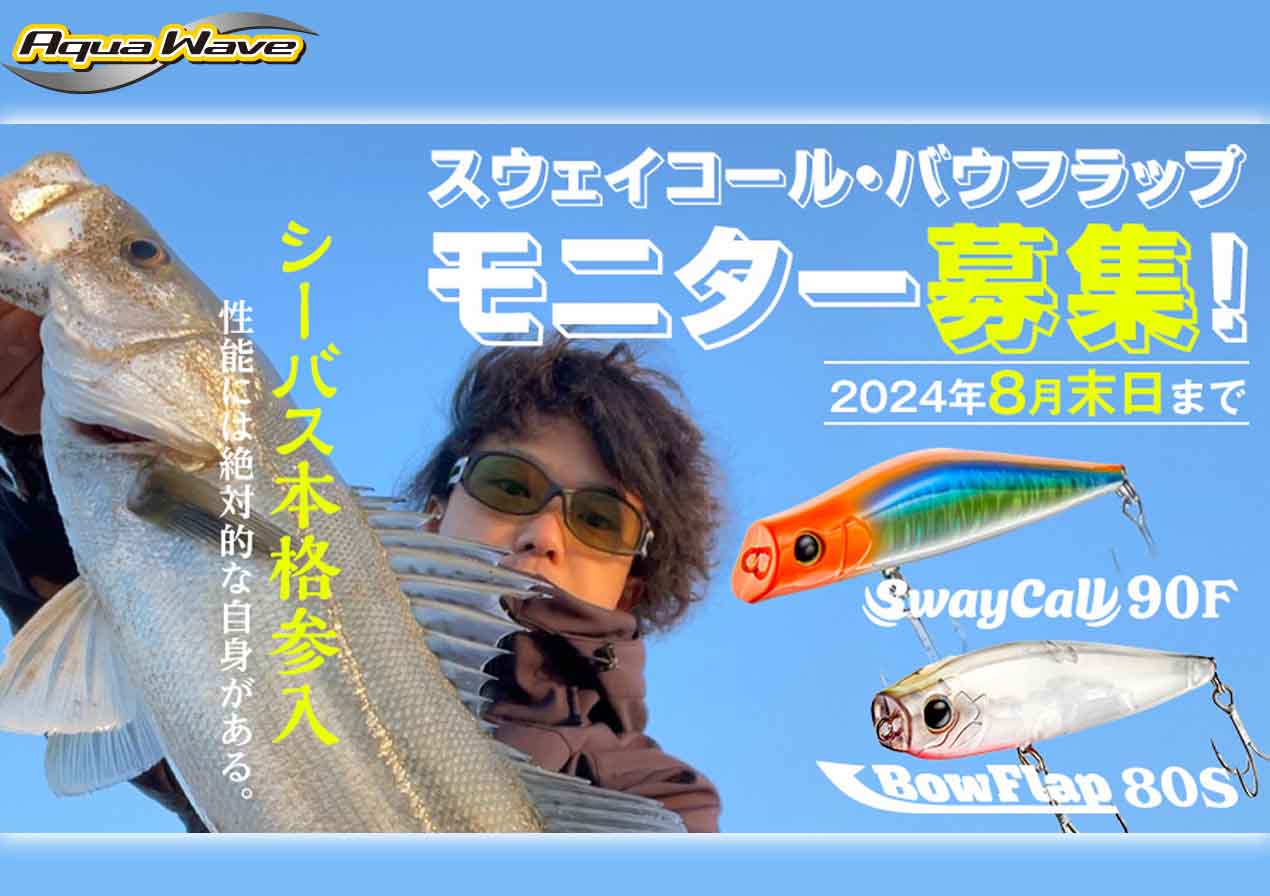 シーバスゲームに精通する我こそはという方へ！アクアウェーブ