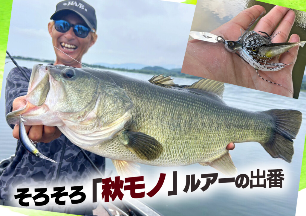 そろそろ「秋モノ」ルアーの出番ですよ【水野浩聡のワンモアフィッシュ