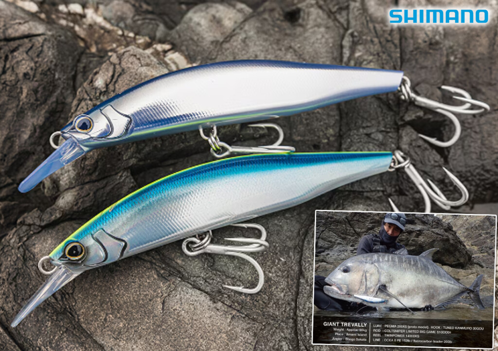 ae46b1f460ee46f789c27b264a6cb4