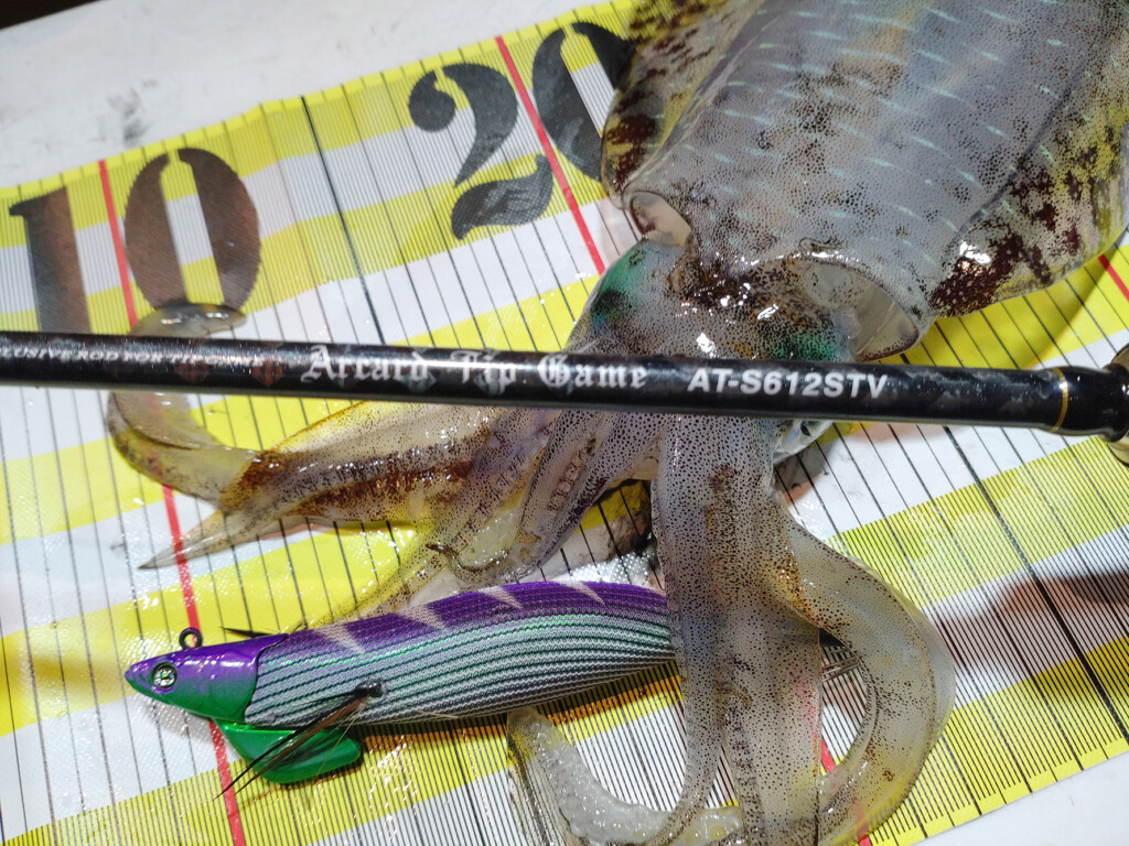 ティップラン最盛期！コスパがバツグンな”推し”の専用ロッドを紹介