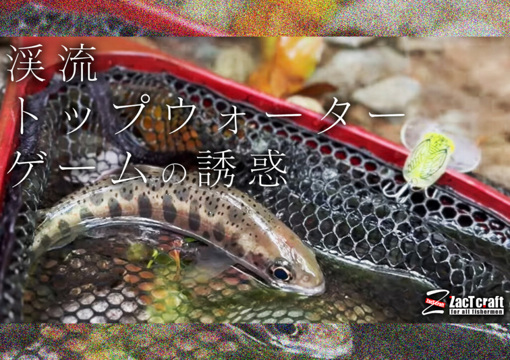 身近な渓流で楽しむ「トップウォーターゲーム」の魅力／ストリーム