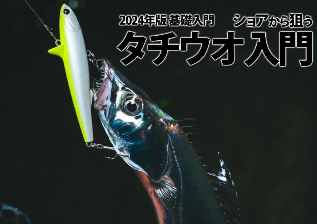 2024年版 タチウオ入門】ショアからタチウオを狙う！タックルから
