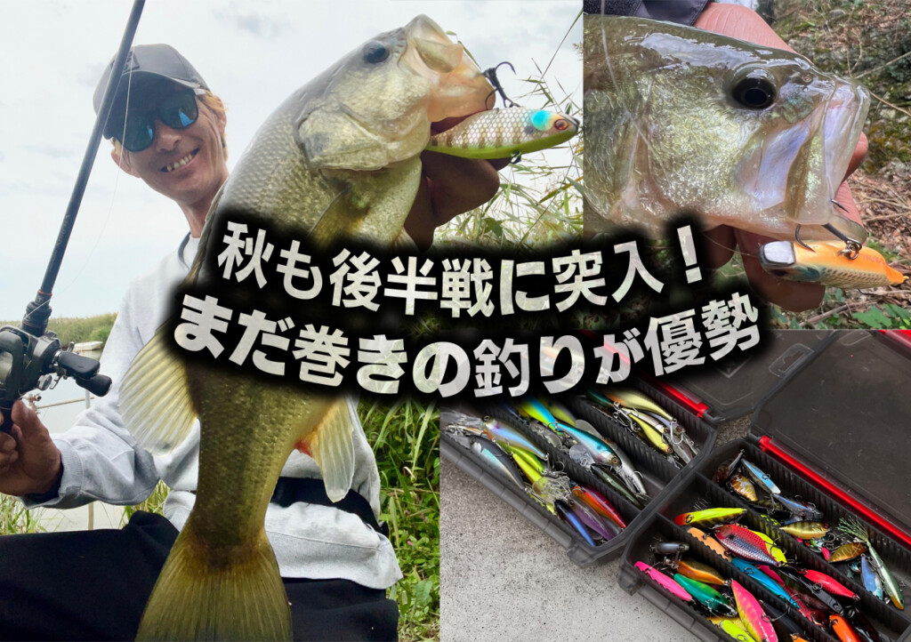 バス釣り　ルアー 221f76c66b2f438ee55fae2c5f2549