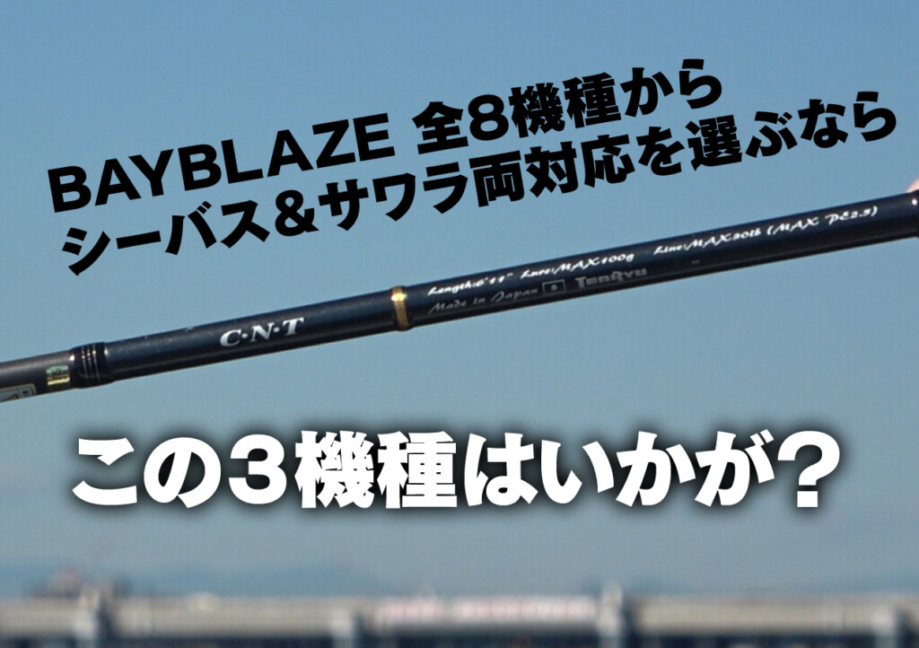 テンリュウ ベイブレイズ ボートシーバス 2本セット テンリュウ ベイブレイズ ボートシーバス 2本セット BAY BLAZE
