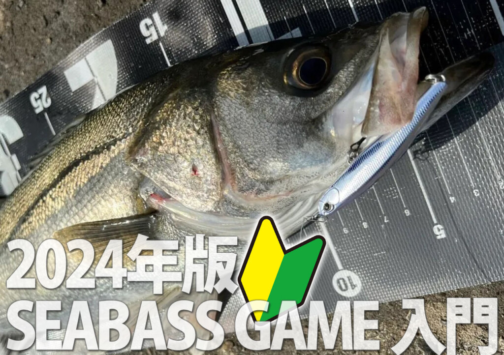 2024年シーバスゲーム入門】身近な場所でエントリーして楽しめる最高の
