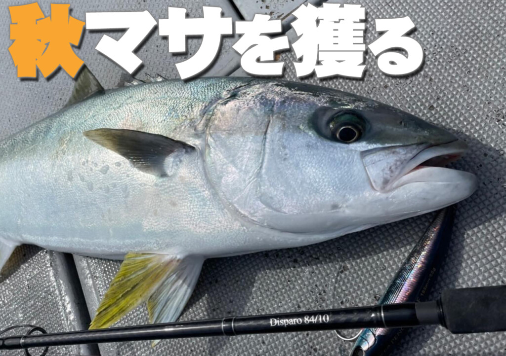 秋のヒラマサを獲る！ゼニスの「Disparo（ディスパーロ