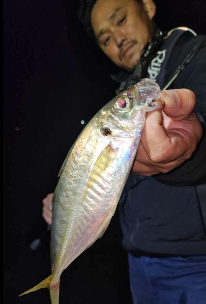 ライトラインでもバッチリ強いアジング専用PEライン！　ベイトタックルにもオススメ「アンサーアジングPEx4」