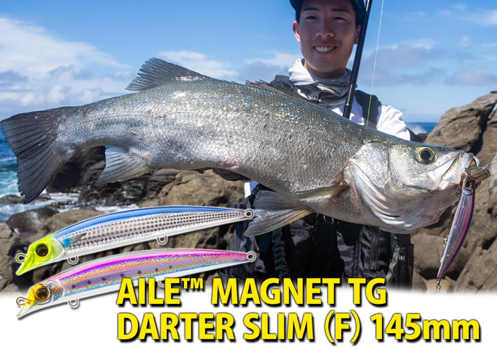 新品未使用タグ付きSTUNNING LURE ドルマンスリーブプルオーバーM 新品未使用タグ付きSTUNNING LURE ドルマンスリーブプルオーバーM