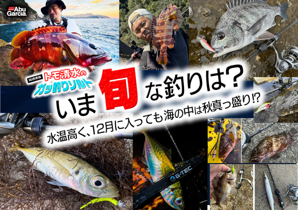 いま旬な釣りは？【トモ清水のガッ釣りソルト】 | 釣りの総合