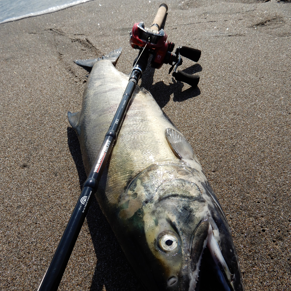 【ベイトタックルでGT】始めるのにもピッタリなロッドとリールの組み合わせ