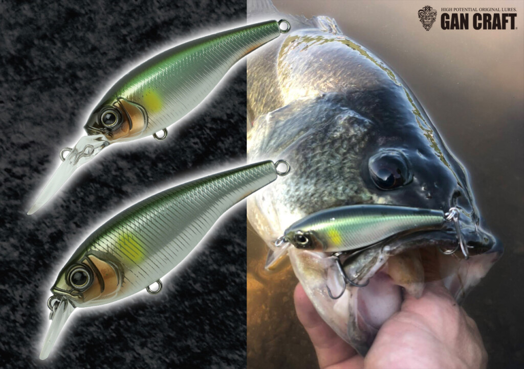 ガンクラフト ジョイクロ178F アングラーズマーケット限定リアル