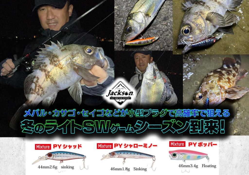 メバルプラグ 81ppseTMdsL._UF350,350_QL50_.jpg