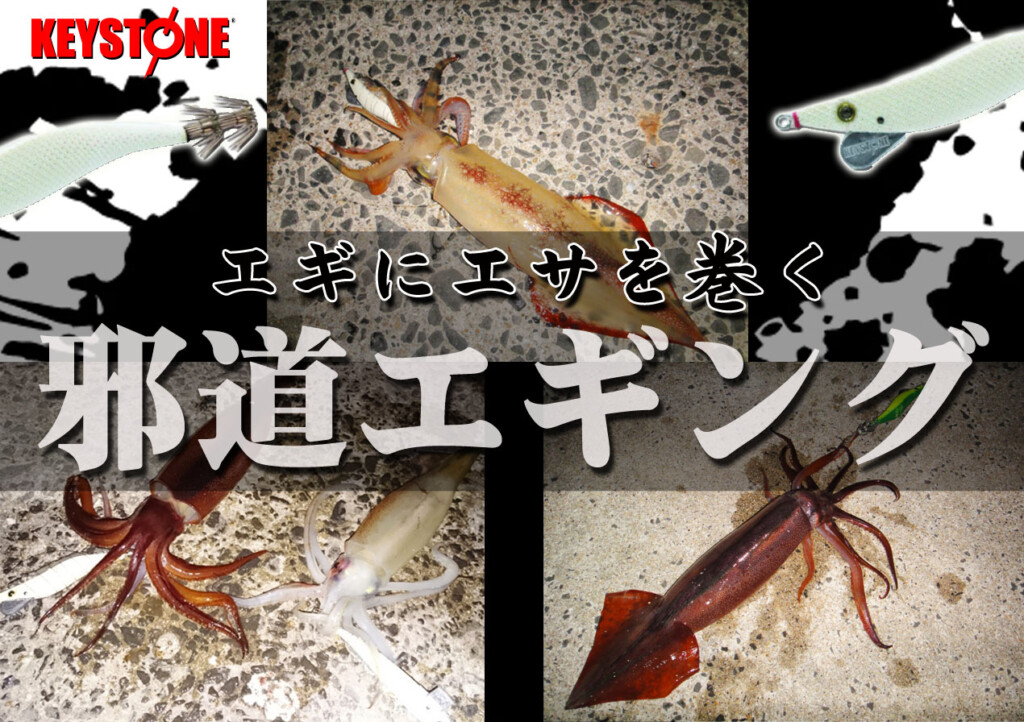 シーズン到来】エギにエサを巻く“邪道エギング” | 釣りの総合ニュース