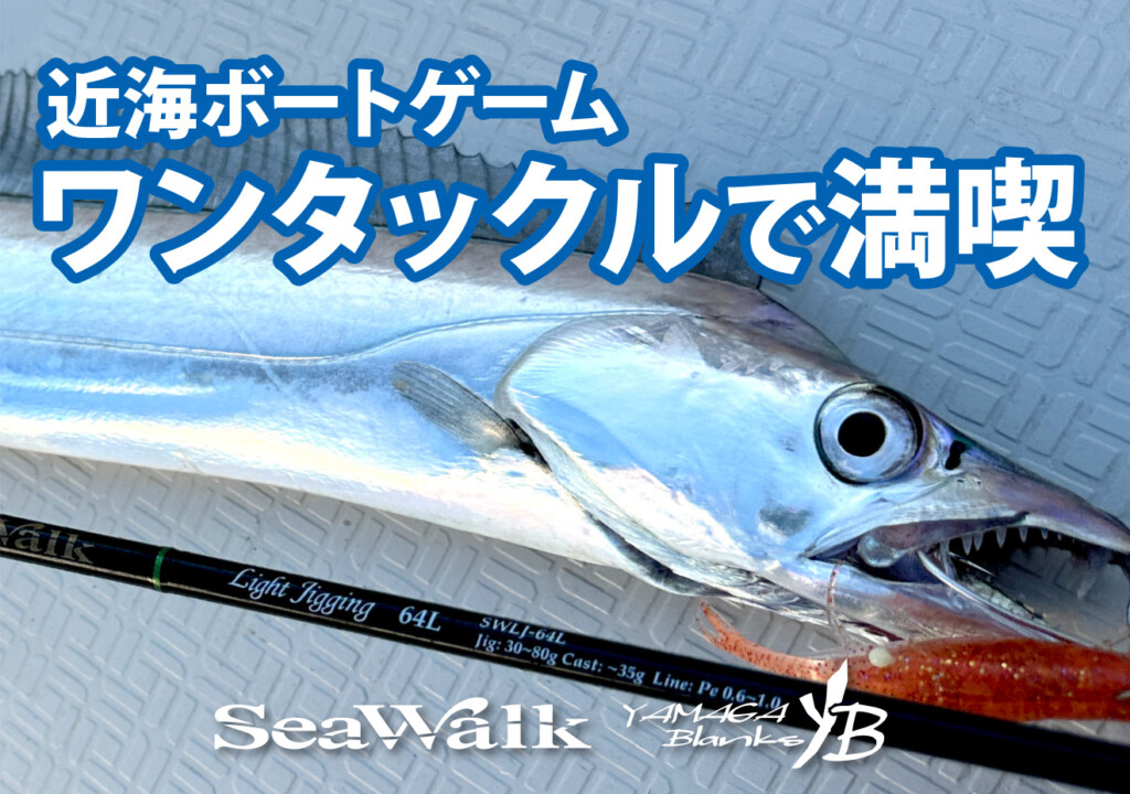 使用感ヨシ！コスパヨシ！】青物、マダイ、ヒラメ、シーバス