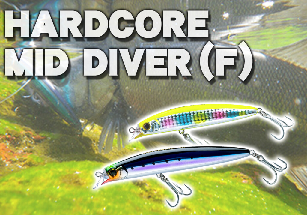 シーバスからフラットフィッシュ、メバルまで狙える！超万能系