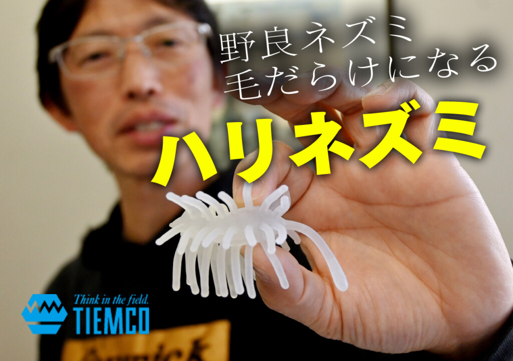 ティムコ　ハリネズミ2個　セットソリッドブラック　グリーンパンプキン　野良ねずみ 新品 TIEMCO ティムコ ハリネズミ #00 ソリッドブラック - メルカリ
