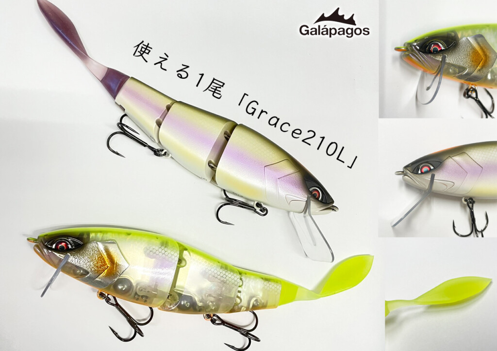 ガラパゴス　グレイス240F カラー：♯08 GALAXY ガラパゴス グレイス 240F #8 ギャラクシー : 釣具のFTO - 通販
