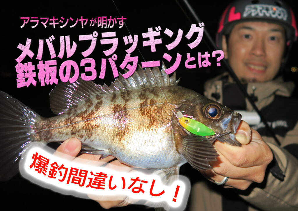 メバルプラグまとめ売り　16点(値下げしました。) 自分なりのメバル用一軍プラグ達。 | とばちゃんの気ままな釣り