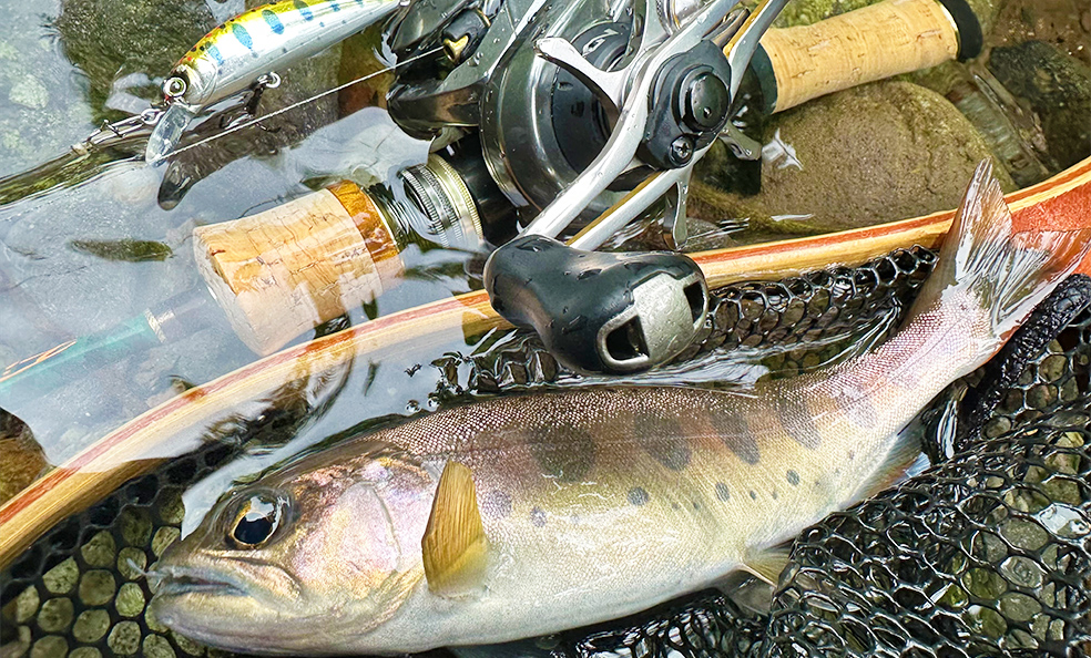 渓流・河川のネイティブトラウトをターゲットとした新たなルアー