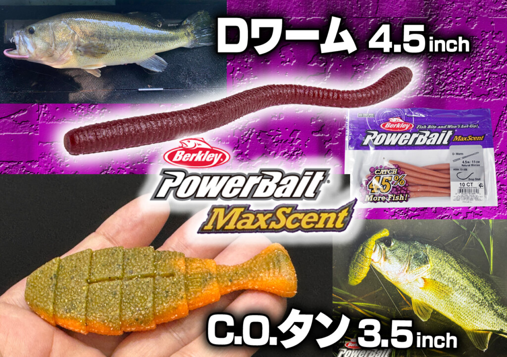 超食わせ素材「マックスセント」シリーズ最新作とプロトワームを