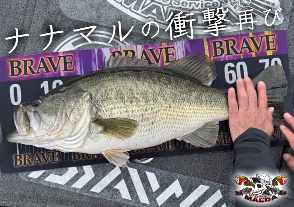 送料180！ 即決早い者勝ち！ 琵琶湖ガイド 前田純 御用達！ 大人気商品！ デプス クラップクロー4インチの３色セット！　新品未使用品！３