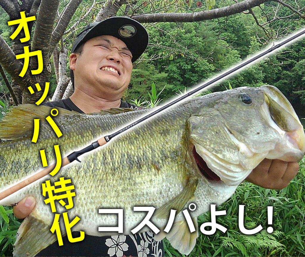 予算内で最強!?】バマスト適性も◎！コスパ抜群「クオーテッド