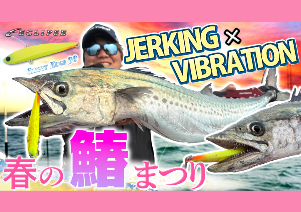 春のサワラ祭り！巷で話題の「スライトエッジ90」によるジャーキング