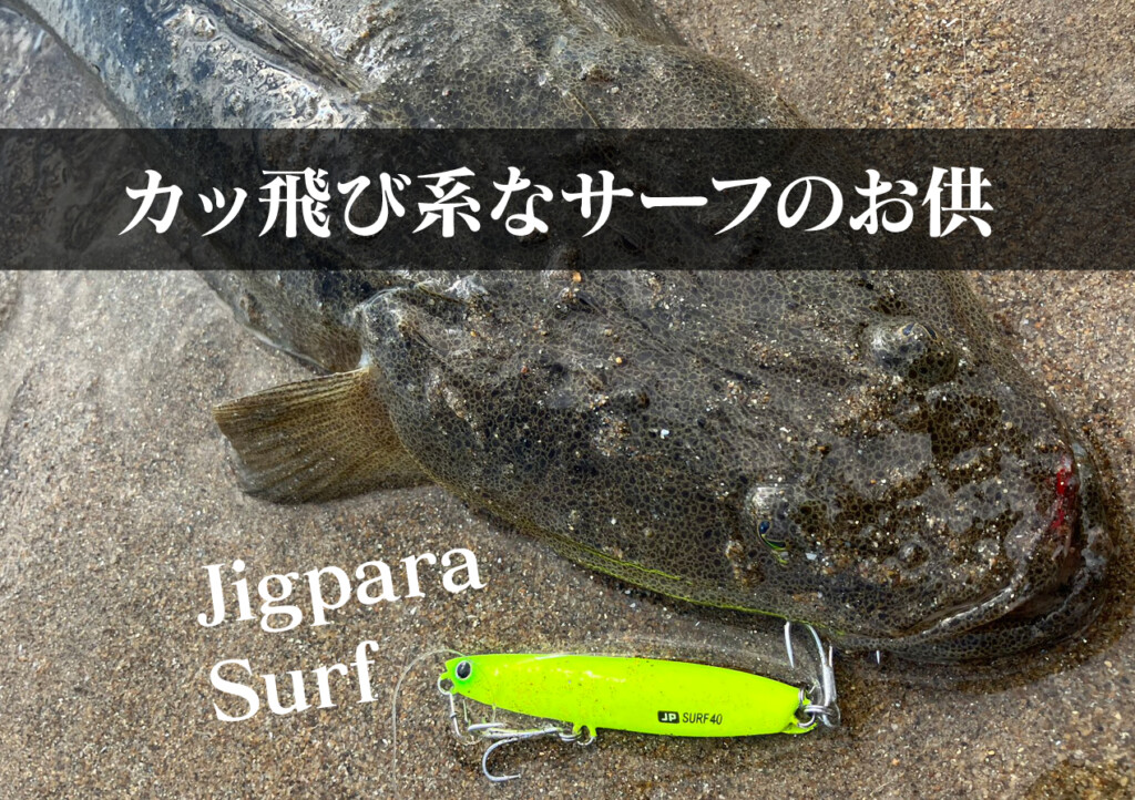 はな ファッション Amazon NINJA1000 ダエグ DAEG ZRX1200 ZX-14R