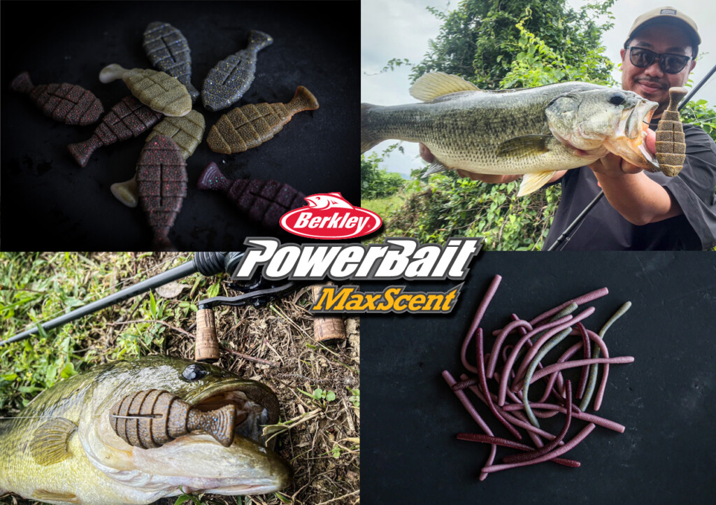 PowerBait MaxScent】2025新製品「D-Worm 4.5in」＆「C.O.TONGUE