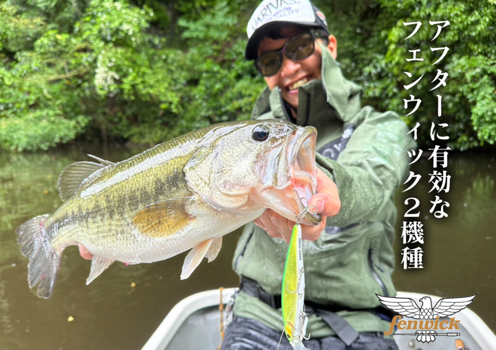 アフター時期にオススメのfenwickロッド】操作して水面でor